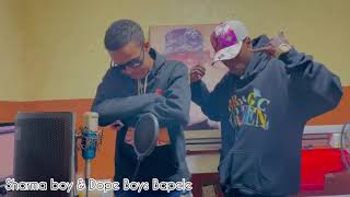 Sharma Boy ft Dope Boys  Ibabi [upl. by Esyned]