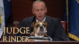 Bulldog in Trouble for Ripping Up Sofa  Judge Rinder [upl. by Aita]