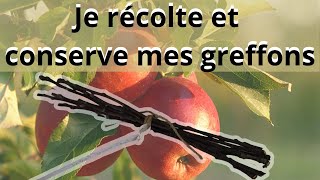 quotLa récolte des greffons  les erreurs à éviterquot [upl. by Agnes]