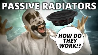 Passive Radiators Explained Basic Speaker Building Techniques [upl. by Eigriv251]