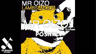 Mr Oizo  Positif Official Audio [upl. by Anairam]