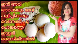 Instant Idli Recipe  Super Soft Spongy Idli In 10 minutes  പൂ പോലത്തെ ഇഡലി ഇനി ഞൊടിയിടയിൽ [upl. by Ursala]