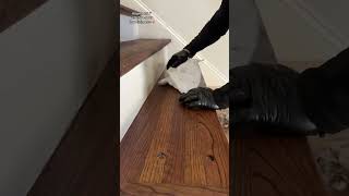 Chestnut stain 💥 flooring tips floorcovering wood floor home hardwoodflooring [upl. by Farika]