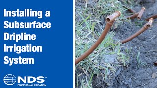 How to Install a Subsurface Dripline Irrigation System  NDS Professional Irrigation [upl. by Annat]