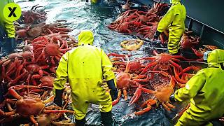 INCREDIBLE King Crab Catch 🦀  This Is How Tons of the LARGEST Crab in Alaska Are Fished [upl. by Oringas370]