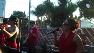 Baila Esta Cumbia  Sangria Band [upl. by Beauvais]