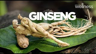 The health benefits of ginseng for stress energy and supporting a healthy libido [upl. by Lathe]