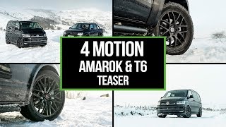 4 Motion Amarok amp VW T6 [upl. by Ulises261]