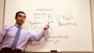 Parathyroid Hormone PTH  a simple Mnemonic [upl. by Zalucki]