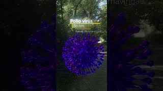 Polio Virus Rendered in Blender [upl. by Rramed]