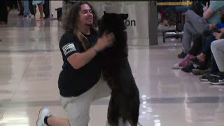 US Marine reunited with military dog after years apart [upl. by Riggall]