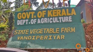 State Vegetable Farm Vandiperiyar Dept of Kerala Agriculture [upl. by Ferrell]