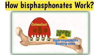 Mechanism action of bisphasphonates  How bisphasphonates work  Doctors goal [upl. by Aufa942]