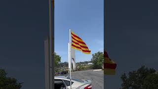 Catalonia flag and anthem flying flags catalonia catalunya senyera [upl. by Angid]