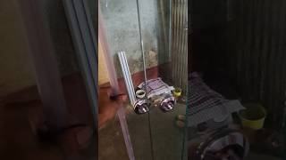 door glassdoor rollerdoor [upl. by Arykahs]