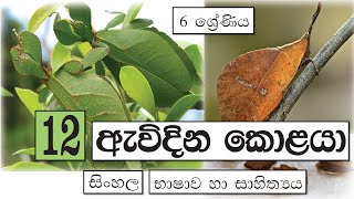 Grade 6 Sinhala  12 පාඩම  ඇවිදින කොළයා  2021 06 18  Avidina Kolayaa ha abhyasa [upl. by Wieche335]