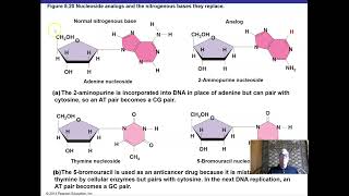 Ch 8 Part 2 Microbial Genetics [upl. by Dragon]