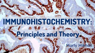 Immunohistochemistry Principles and Theory [upl. by Garlan]