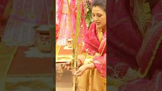 आइये इस पवित्र त्योहार में मेरे साथ  How I Celebrate Tulsi Vivah Step by Step shorts ytshorts [upl. by Seligman]