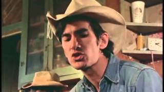 Townes Van Zandt  3 canciones subtituladas al español [upl. by Rooney454]