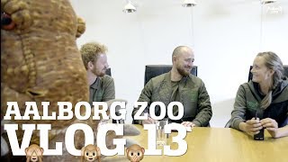 FREMTIDEN FOR ZOOVLOGS  HAR EN HANELEFANT BRYSTVORTER 🐘  AALBORG ZOO VLOG 13 [upl. by Euqinehs854]