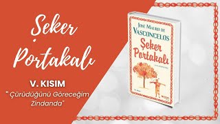 Şeker Portakalı Sesli Kitap  5 BÖLÜM  Jose Mauro de Vasconcelos [upl. by Fasto]