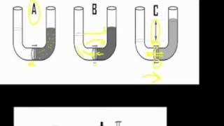 Osmotic pressure part 1 [upl. by Ainniz]