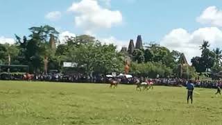 PASOLA SUMBA  HOMBA KALAYO [upl. by Peednama]