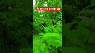 जरा इस जगह को देखीए  कितना सुनसान इलाका है hollywood move dilog dangerous picture viralvideo [upl. by Reneta]