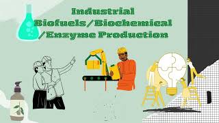 Biochemical Engineering Mini Project Group 14 KMJ22703 UR6524001 2024 [upl. by Boardman]