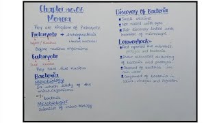 Introduction To Kingdom Prokaryote  Size Of Bacteria  Biology Class 11th [upl. by Enelrak]