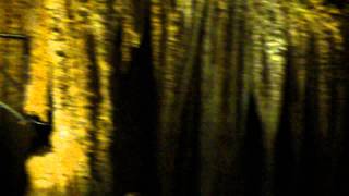 Luray Caverns quotMusicquot  STALACPIPE ORGAN [upl. by Atthia]