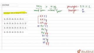 Genotypic ratio of dihybrid cross is [upl. by Iras]