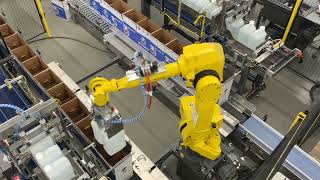 Hamrick Packaging Systems  Dual Infeed Robotic Case Packer w FANUC 710iC [upl. by Gerard]