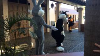 Daffy Bugs and Sylvester at Movieworld [upl. by Noraha]