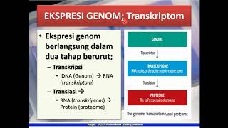 Genomik transkritomik proteomik dan metabolomik [upl. by Kirkwood]