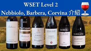 【廣東話】意大利 Nebbiolo Barbera Corvina 的特性及著名產區｜WSET Level 2 [upl. by Atile337]