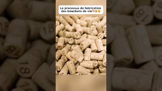 Le processus de fabrication des bouchons de vin‼️🤯🤯 bouchon wine plug découverte pourtoi fyp [upl. by Abdel]