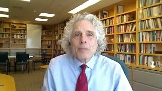 Steven Pinker Progress Despite Everything [upl. by Hortensia988]