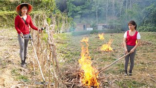 Use Generator To Clear The Grass Prepare Plant New Corn Crop Use Cassava as Food for Chickens [upl. by Botti]