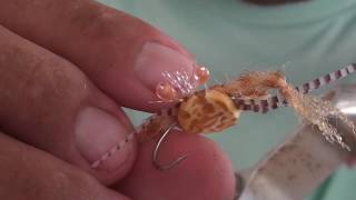 Sargasso Crab Fly Tying Instructions [upl. by Tootsie]