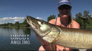 Sightfishing a big Musky on a Jerkbait  Uncut Angling [upl. by Ahsikat]