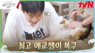 손님이 왔다고 그럼 내가 애교를 부려볼게🐶 삼시세끼Light EP2  tvN 240927 방송 [upl. by Ecnaiva946]