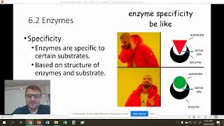 AP  Chapter 6  Metabolism Energy and Enzymes [upl. by Zizaludba]