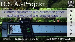 JUWEL HeliaLux Spectrum und SmartControl Beste LED Aquarien Beleuchtung  DSAProjekt [upl. by Eahsed]