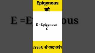 Morphology of flowering plants।EPIgynousNEET।Biology TricksBiology tricks for neet।Baba biology। [upl. by Enelkcaj52]