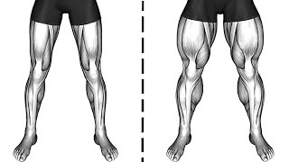 How To Get A Massive Legs At Home [upl. by Berwick]