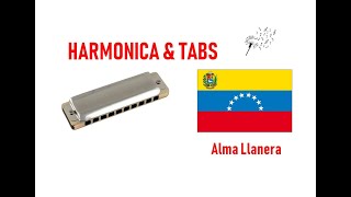 Harmonica amp tabs  Alma Llanera [upl. by Friedlander]