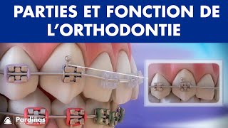 Appareil dentaire – Parties et fonction de l’orthodontie © [upl. by Letney444]