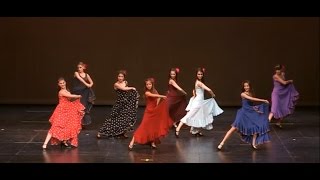 Flamenco  quotBailandoquot ShakallisDance2014 [upl. by Dinerman]